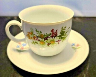 Vintage Kahla German Democratic Republic Teacup & Saucer #33, #46