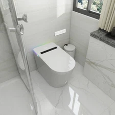 Smart Toilet W/ Heated Bidet Seat,Auto Open/Close,Digital Display,Deodorization