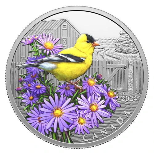 AMERICAN GOLDFINCH 2024 CANADA 1oz .9999 Pure Silver $20 Coin #4 in Birds Series - Picture 2 of 6