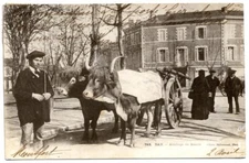 (S-33672) FRANCE - 40 - DAX CPA