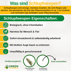 Bild 5 von 41