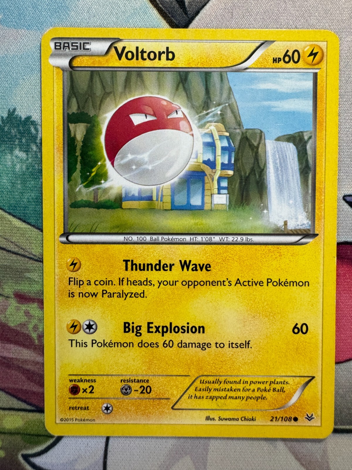 Voltorb Non Holo English Pokemon TCG BKD247