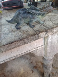 Triceratops Dinosaur