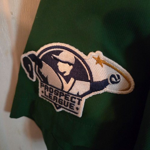 Nike Storm-FIT Prospect League 1/4 Zip Pullover Windbreaker GRN Size L Baseball - Picture 9 of 11