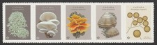 Canada 3502-3506 Fungi P strip 5 MNH 2025
