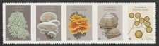 Canada 3502-3506 Fungi P strip 5 MNH 2025