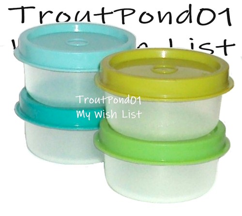 Tupperware Smidgets winziger Schatz Mini-Schalen 4er-Set klar mit grünem Papagei blaugrün