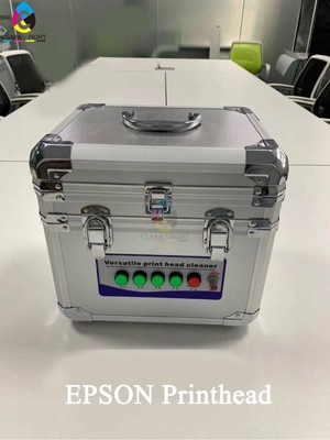 epson dx7 printhead problem