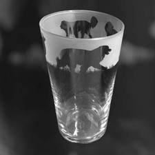 LEONBERGER Frieze Boxed 57cl Conical 1 Pint Glass