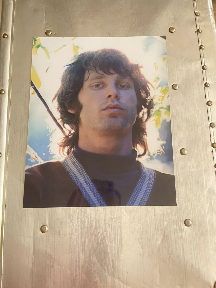 the doors Jim morrison, The doors jim morrison, Morrison