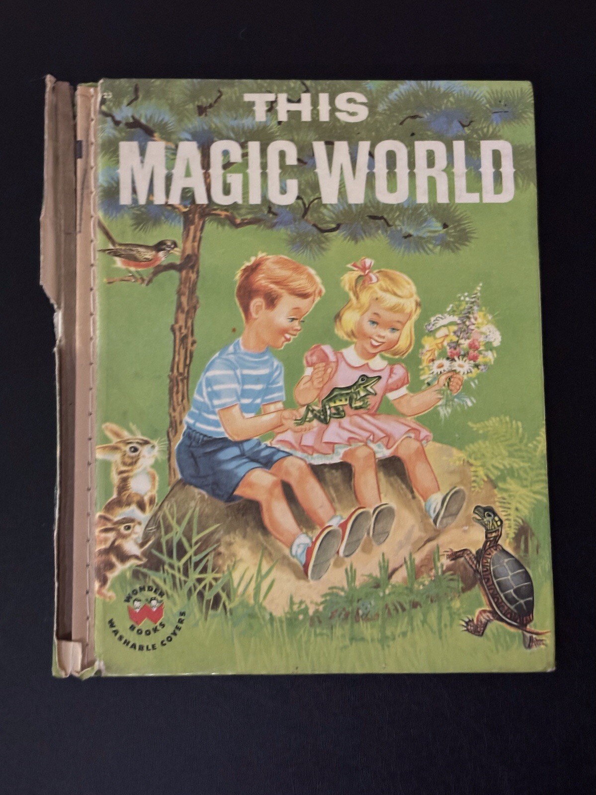 This Magic World Vintage Wonder Book 25c 1959 by Cynthia Iliff Koehler