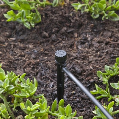 Raindrip 156005B Black 25 PSI 20 GPH Full-Circle Drip Irrigation Bubbler