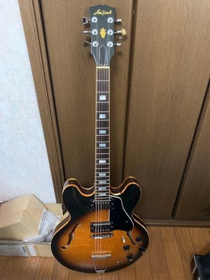 [Scheduled to be sold at stores on 6/13] Aria Pro II ES700 semi-acoustic