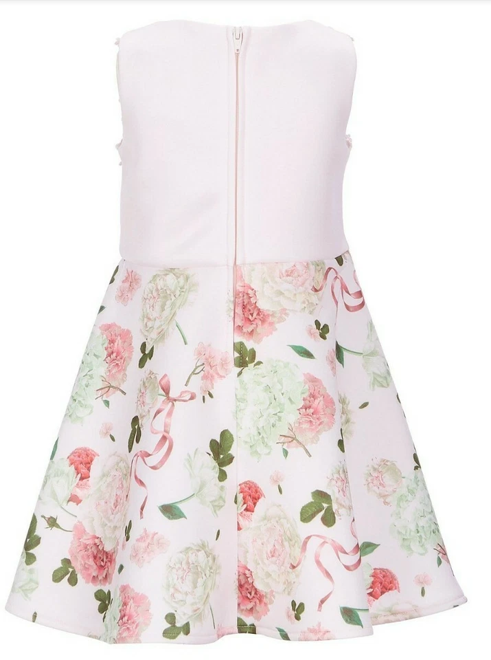 Biscotti Niña Pequeña Floral Buceo Gasa Flor-Aplique Fantasioso Vestido-4-6 Foto 3 de 4