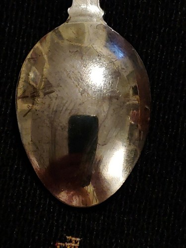 Charleston South Carolina Palmetto State Silver Plated Steel Souvenir Spoon 4.5" - Picture 7 of 10