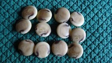 12 cream, beige, brown, aran, horn effect, shank Round Sewing Buttons  22mm dia