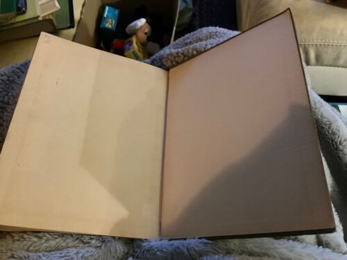1903 The Wizard Of Oz, By L Frank Baum, Pictures by WW Denslow - Picture 9 of 9