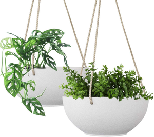 Featured image of post Outdoor Hanging Plant Png