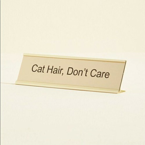 Cat Hair, Don't Care Desk Sign Modcloth