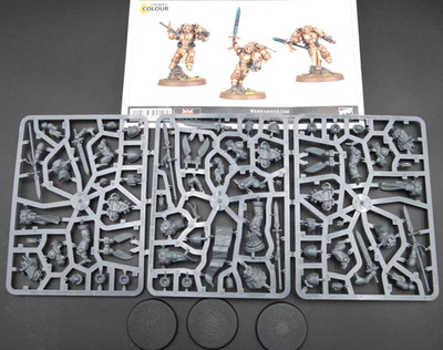 Blood Angels Sanguinary Guard NO BOX or SHEET Warhammer 40K Space Marines