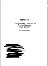 Facharbeit Erzieher (1,0) Sinneswahrnehmung im U3 Bereich