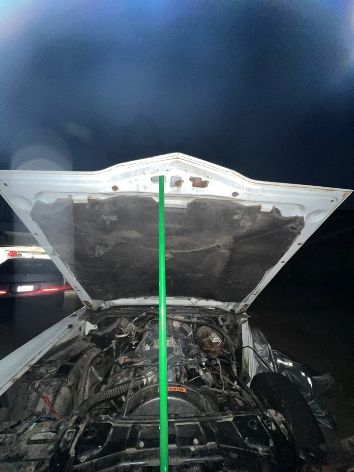 Capó/capó de Ford Thunderbird 1973 Foto 3 de 4