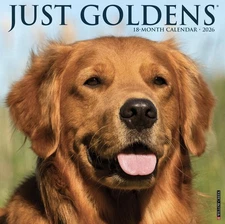 Willows Creek Press 2026  18 Month “Just Goldens” Calendar