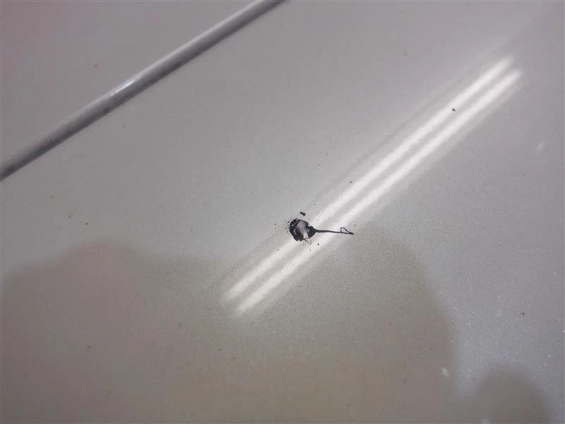 TRUNK LID Nissan Quest 2015 15 2016 16 2017 17 White 1330680 Foto 3 de 4