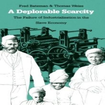 A Deplorable Scarcity The Failure of Industrialization in the Sla