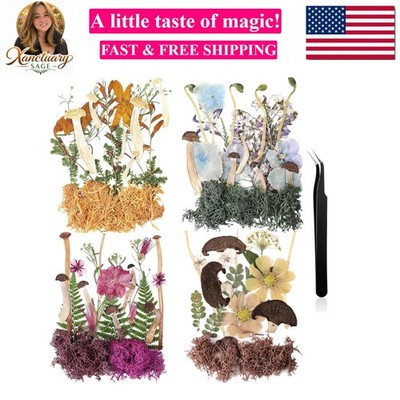 Dried Pressed Flowers for Resin Molds Dried Mushrooms Crafts Fake Mushrooms N...
