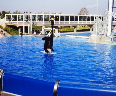 7 Charley Van Pelt Stereo 3D slide pairs ''outtakes'' Sea World Set #1