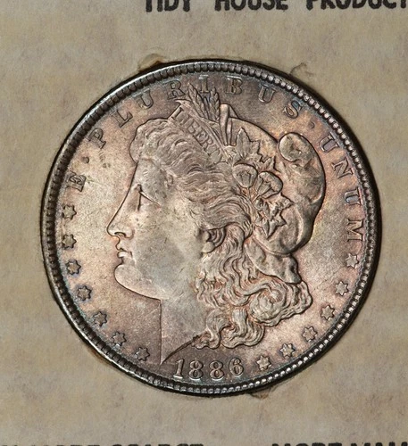 1886-P Morgan Dollar MS Coin in Vintage Tidy House Holder Nice Toning! #EZF9
