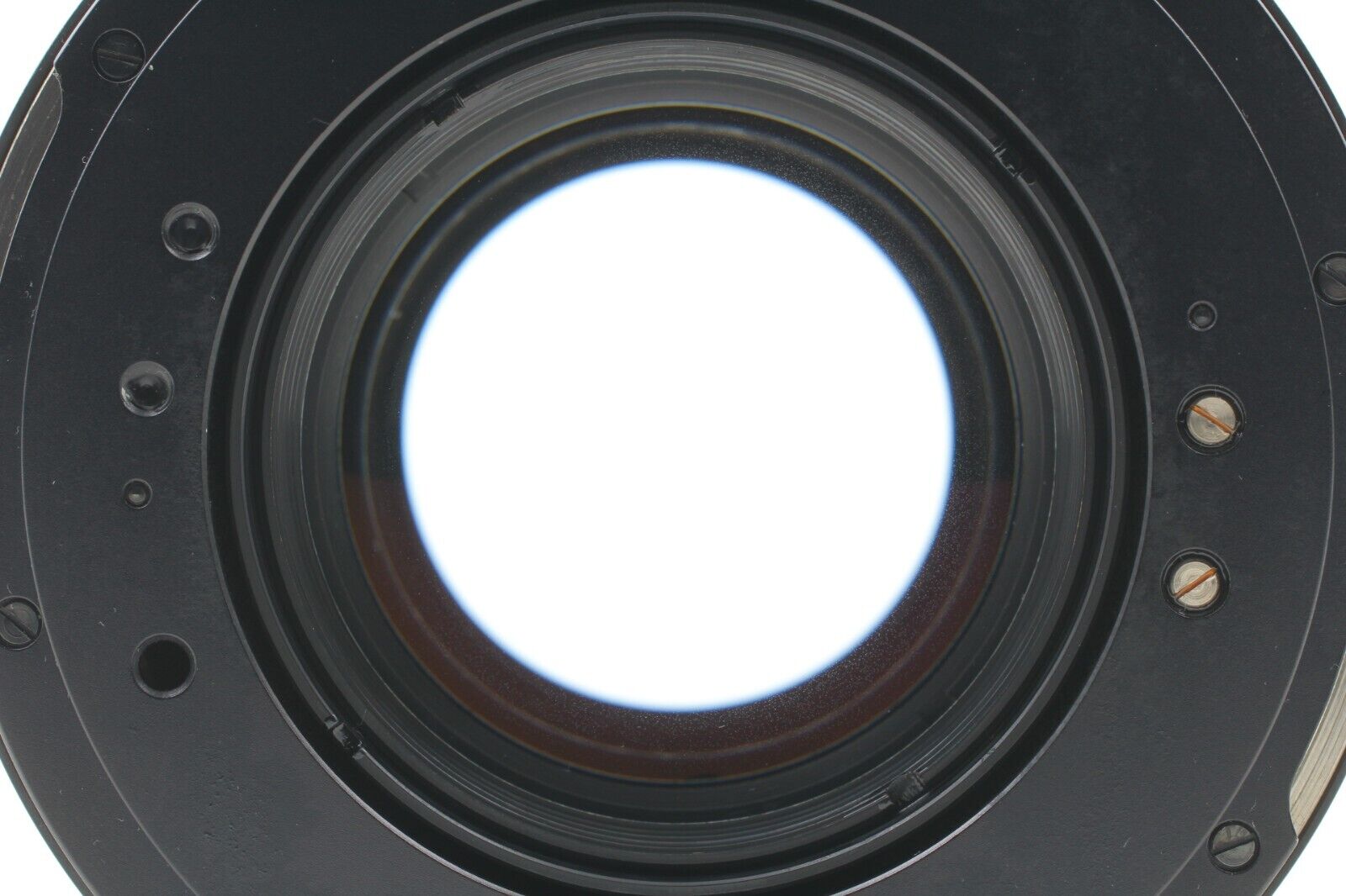 Bild 8 von 12