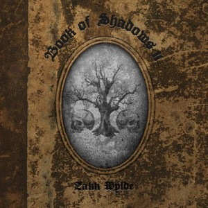 Zakk Wylde Book of Shadows CD | eBay