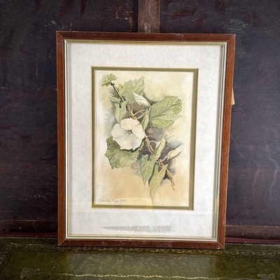 George Cox Aquarell Botanical 1987 gerahmt signiert Blume Blatt Studie Original