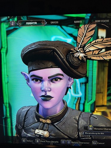 PS/XBOX/PC Tiny Tina's Wonderlands TODOS LOS ACCESORIOS DE CABEZA COSMÉTICOS ENGRANAJES SKINS DLC - Imagen 15 de 55