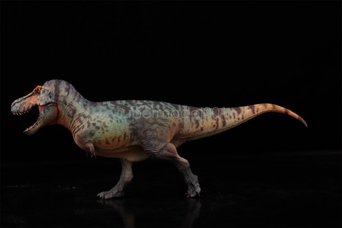 HAOLONGGOOD 1:35 Scale Tyrannosaurus Rex Dinosaur Decor Animal Collection - Picture 7 of 30