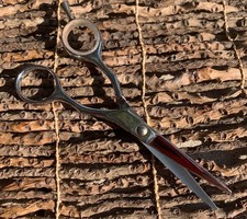 Arius Eickert 520200 Series Professional Hair Cutting Shears