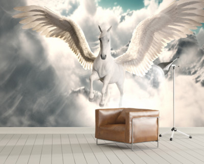 Papier peint 3D soldes Pegasus Clouds ZHUB12030 mural amovible auto-adhésif Ann