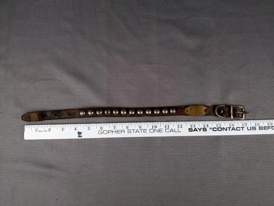 Vintage Dog Collar Leather Metal Stud Antique 1957 Iowa Brass Identification Tag - Image 4 of 4