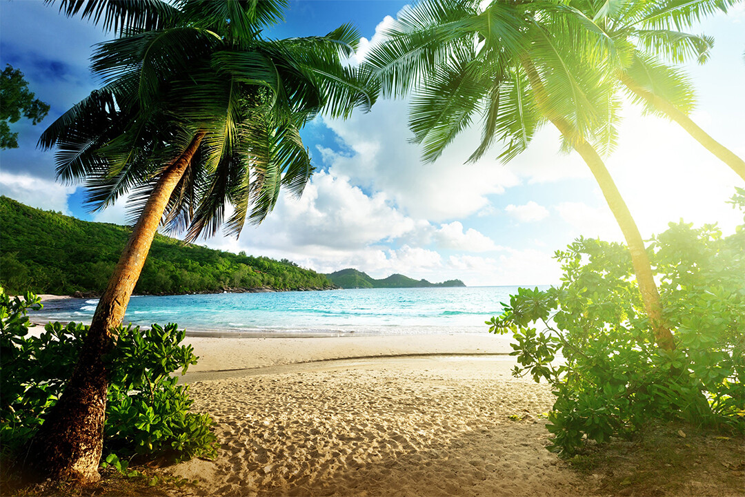 あ絵30*30cm Paradise Tropical Green Sea Beach Hot New Wall Art Home Decor