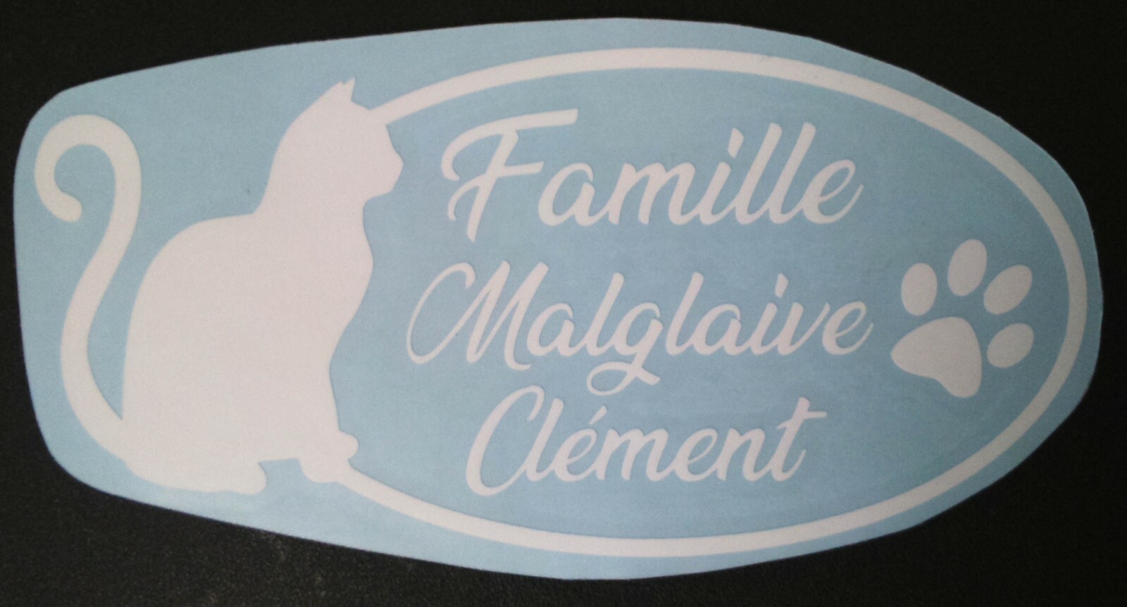 Jm-Déco Stickers boites aux Lettres Chat 30x30cm