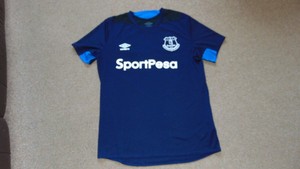 everton training shirt