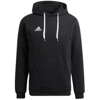 Sweatshirt Herren, Adidas Entrada 22 Sweat Hoodie, Schwarz