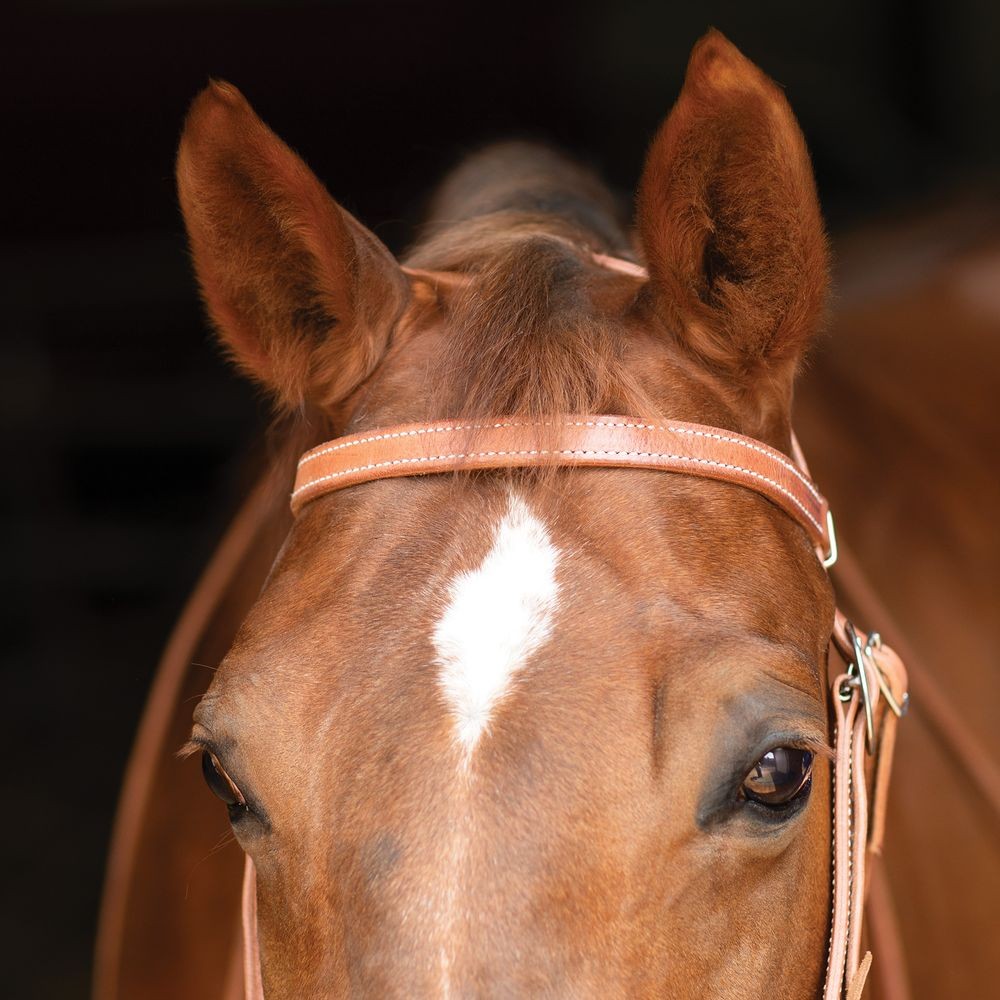 Billy Royal Finished Leather Hermann Oak Browband Headstall with Water Ties