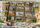 Marx Animal Kingdom, 18 Boxed and 4 unboxed, Circa 1965 - 1967 HK6505 & HK6506 — photo 1