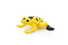 Frog, Yellow Spotted Realistic Rainforest Figure Model Replica Kids 2" F7007