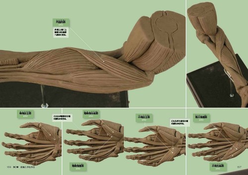 Understand the artistic anatomy by creating a clay statue Japanese Art Book - Picture 7 of 12