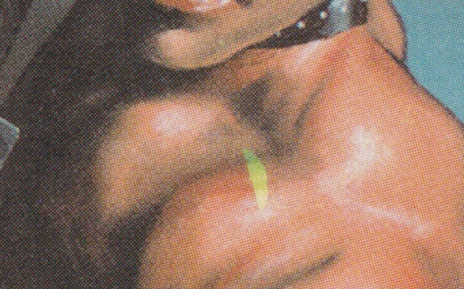 Signed Veteran Bodyguard Proof LP Revised Artist Douglas Shuler MTG AP Misprint! - Image 2 of 3