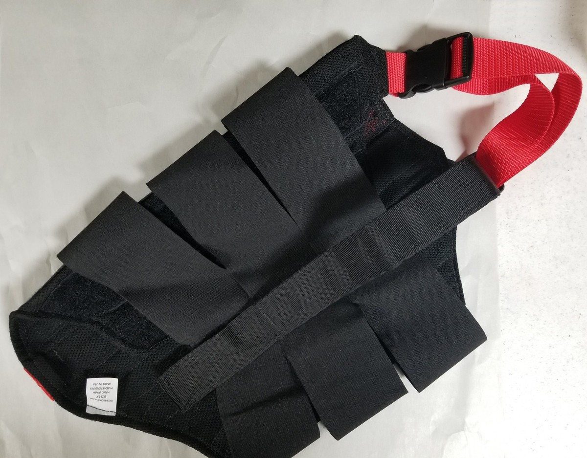 Wiggleless Back Brace for Dog, 15